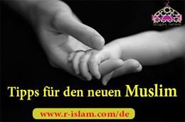 Tipps