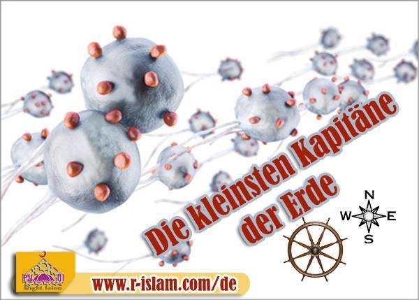 magnetotaktische Bakterien 